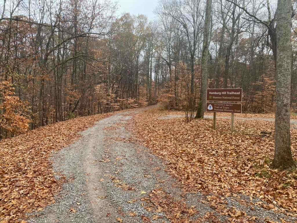 Atwood Road SFR 266 trail photo