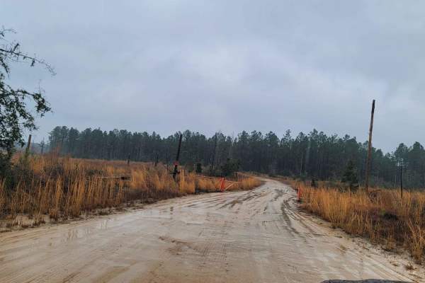 Carthage Timberlands to Kisatchie