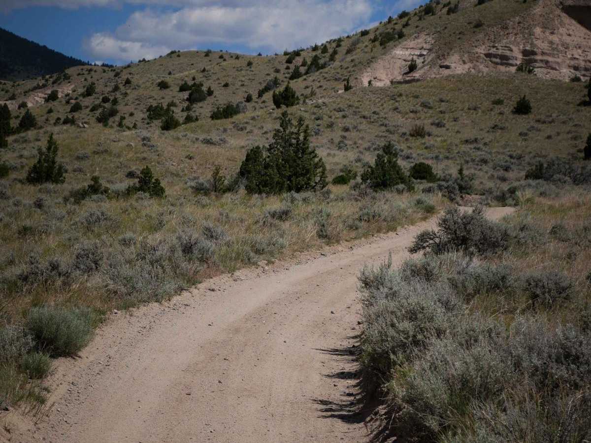 BLM 3 photo 2