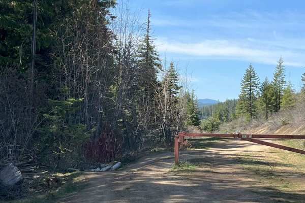 End of Brush Creek Road