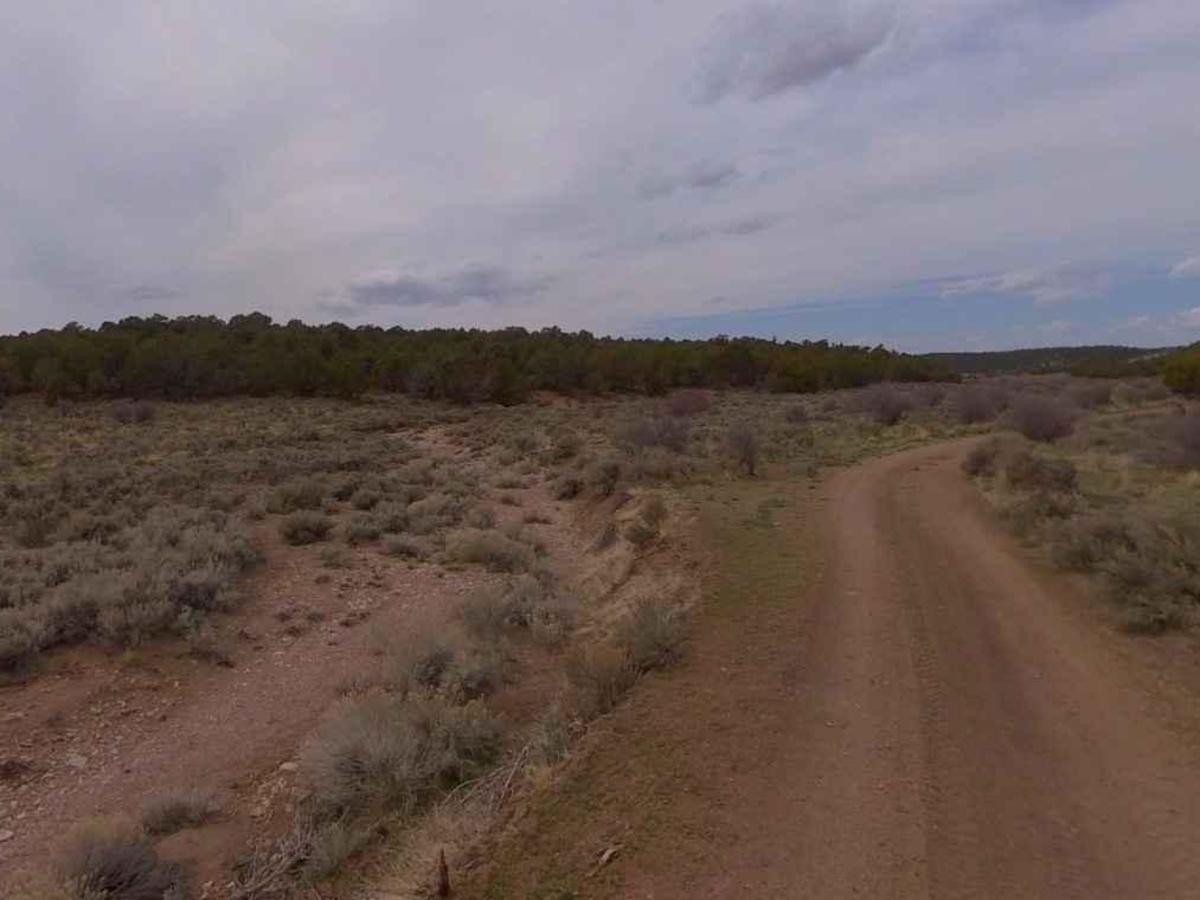Water Canyon-FR30002 photo 6