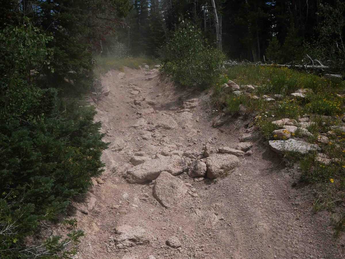 Manzanares trail photo