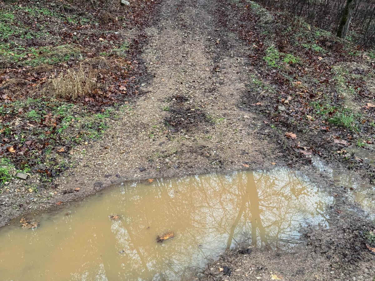 Green 300 trail photo