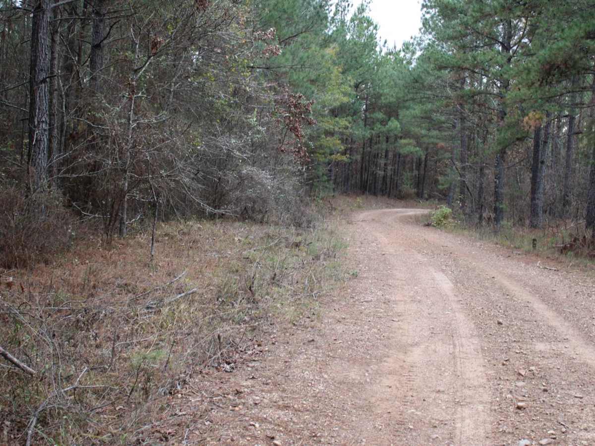 County Roads to Sour Springs photo 2