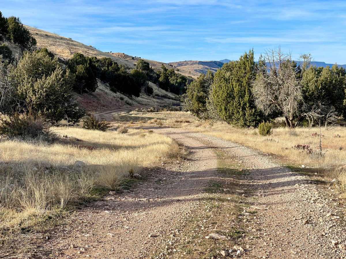 Saint George Canyon 1034 photo 6