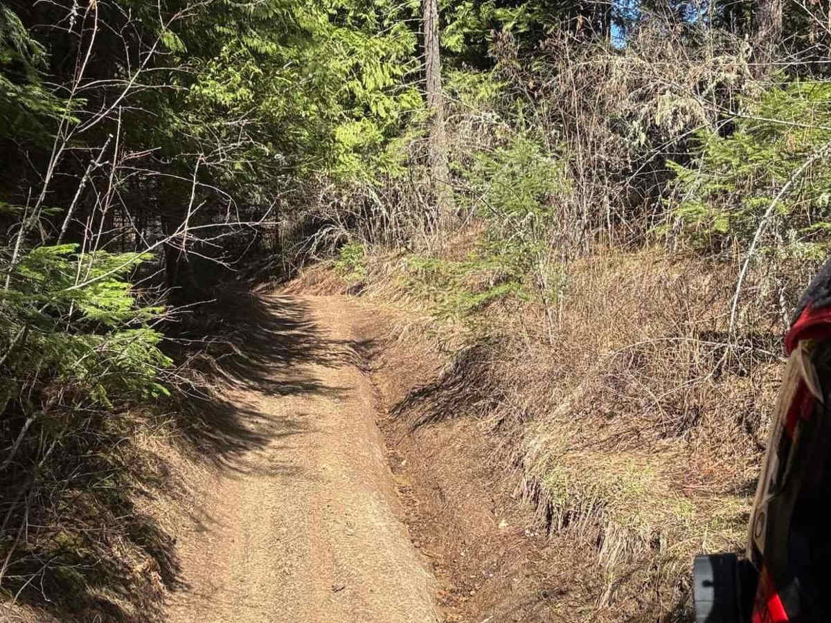 East Fork Gold Creek Trail 763 photo 5