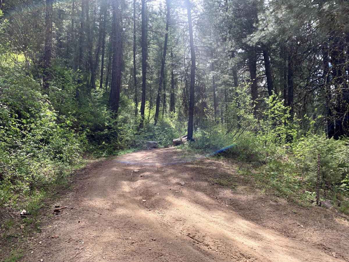 Paradise trail photo