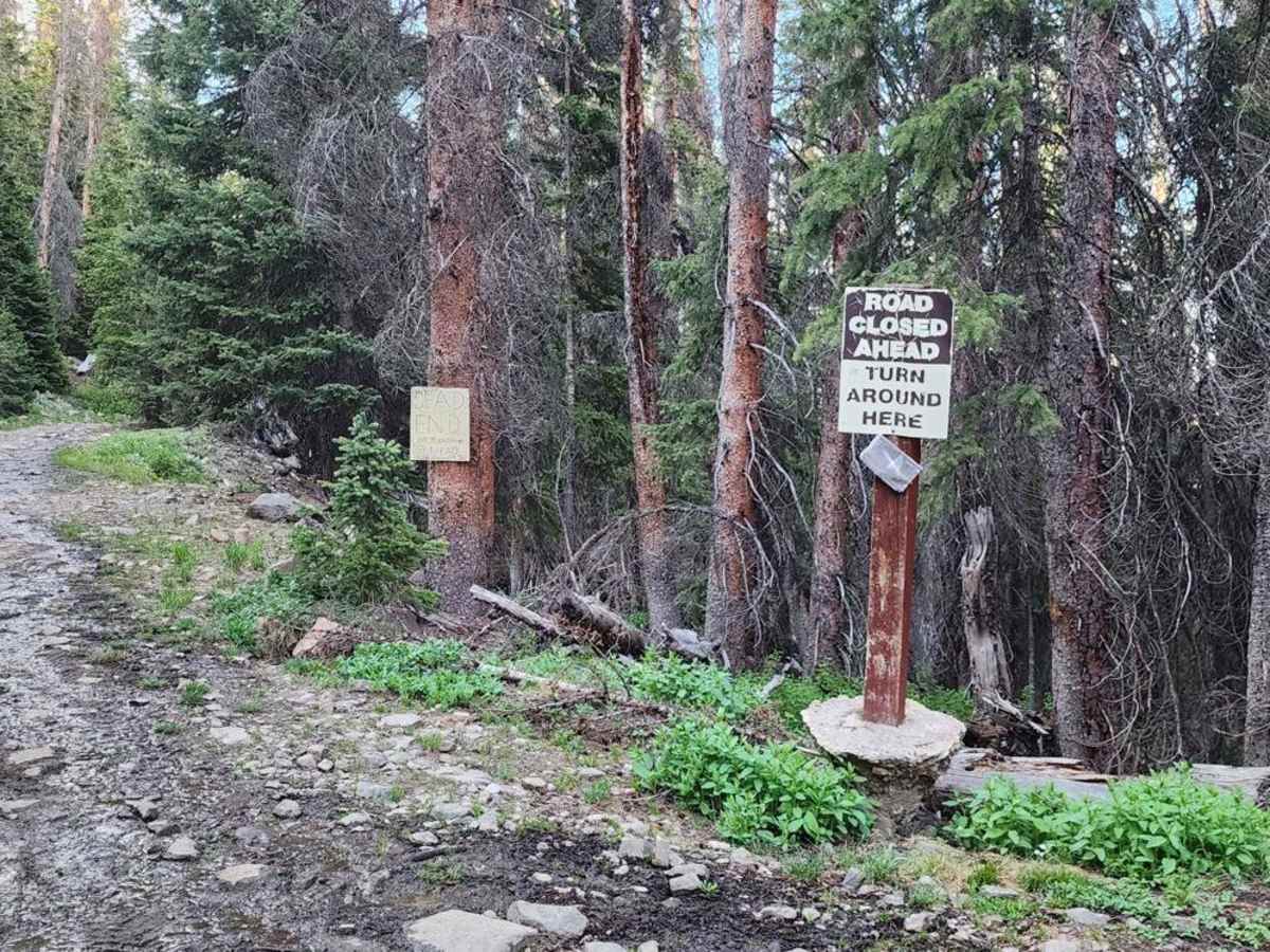 North Henson Creek Road photo 5