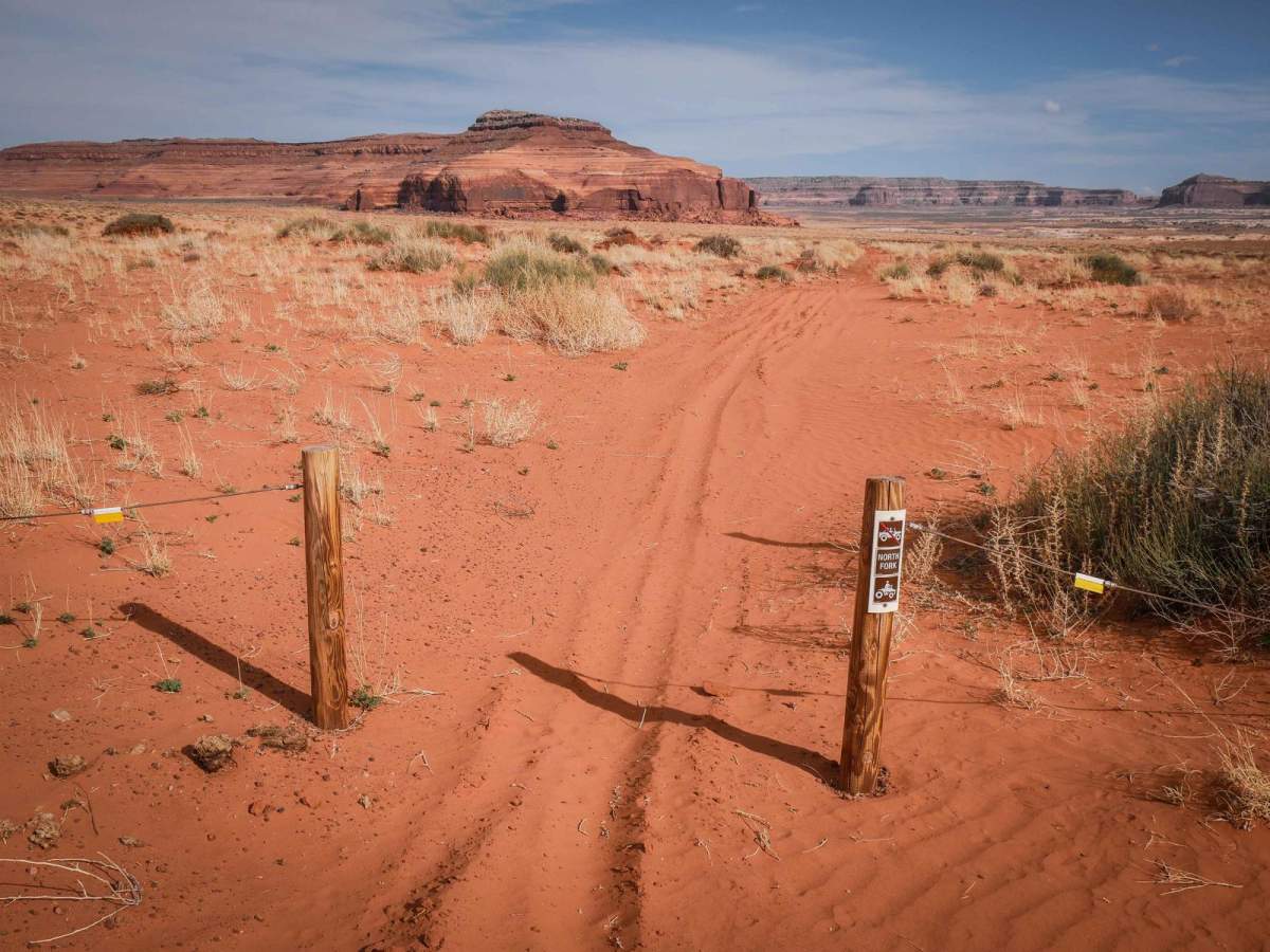 Saddle ATV Trail trail photo