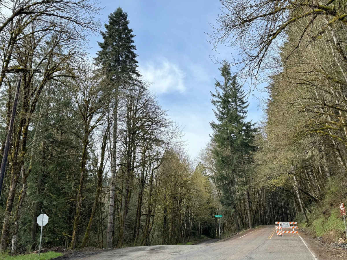 Shaffer Road photo 2