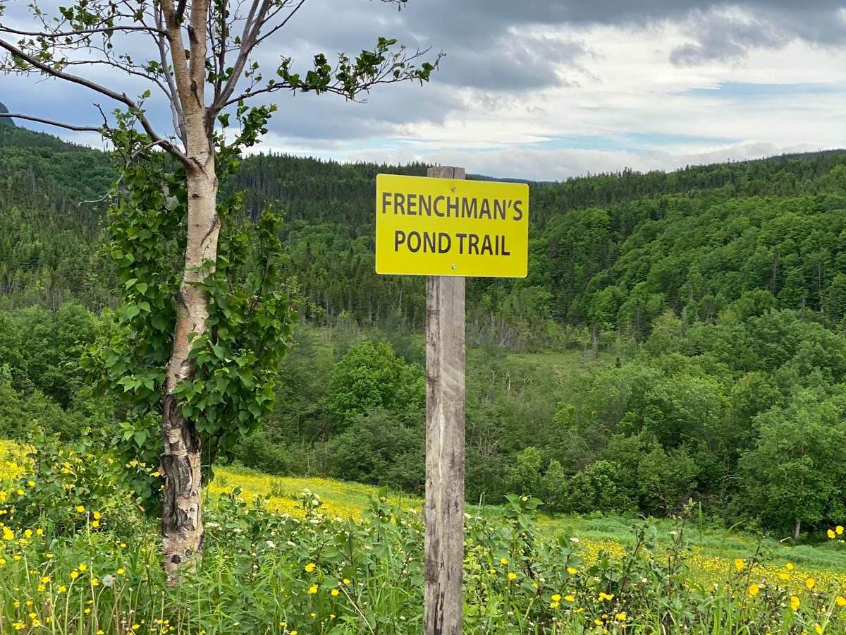 Frenchman's Pond Trail trail photo