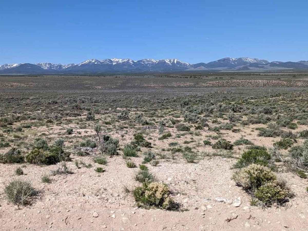 Pine Valley Road photo 5