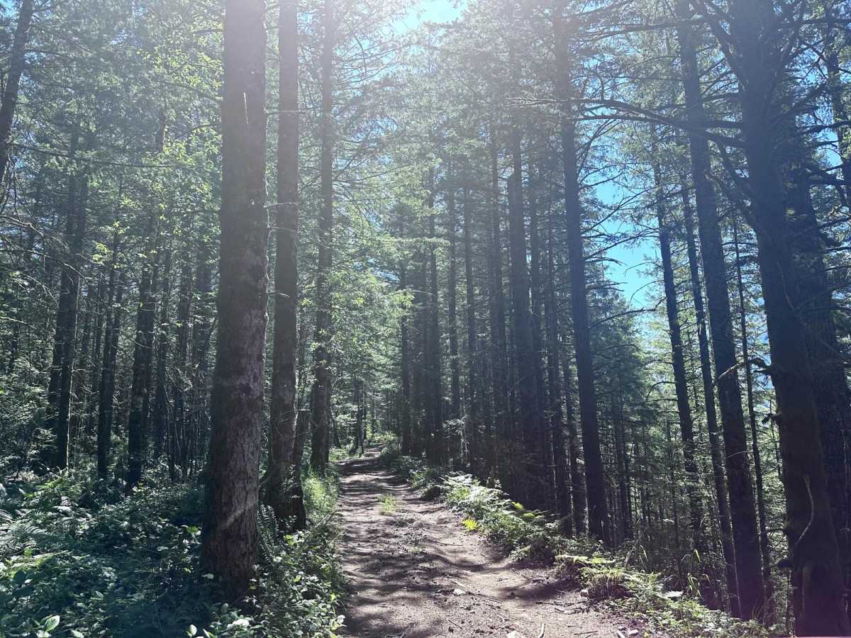 Wandering View trail photo