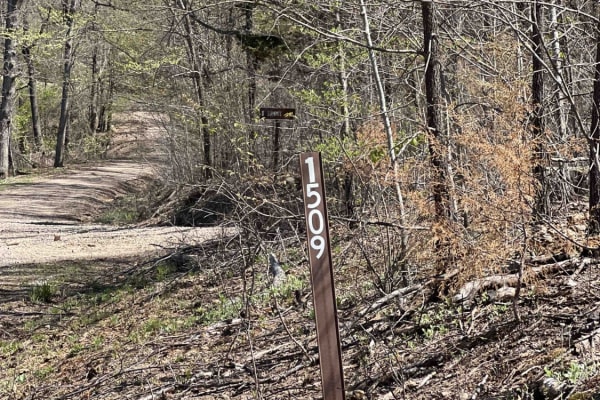 Ragtown/Mill Creek Rd 1509