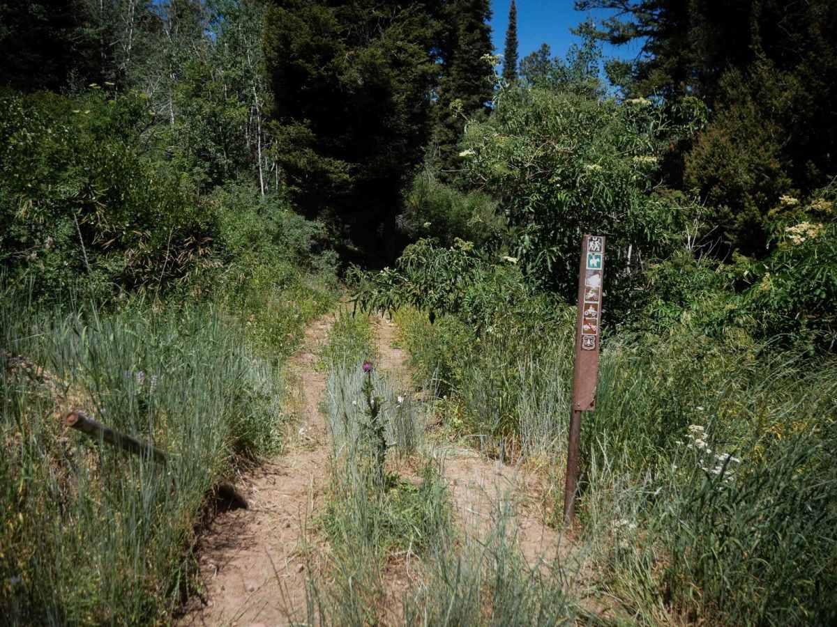 Trail Hollow #3368  photo 3