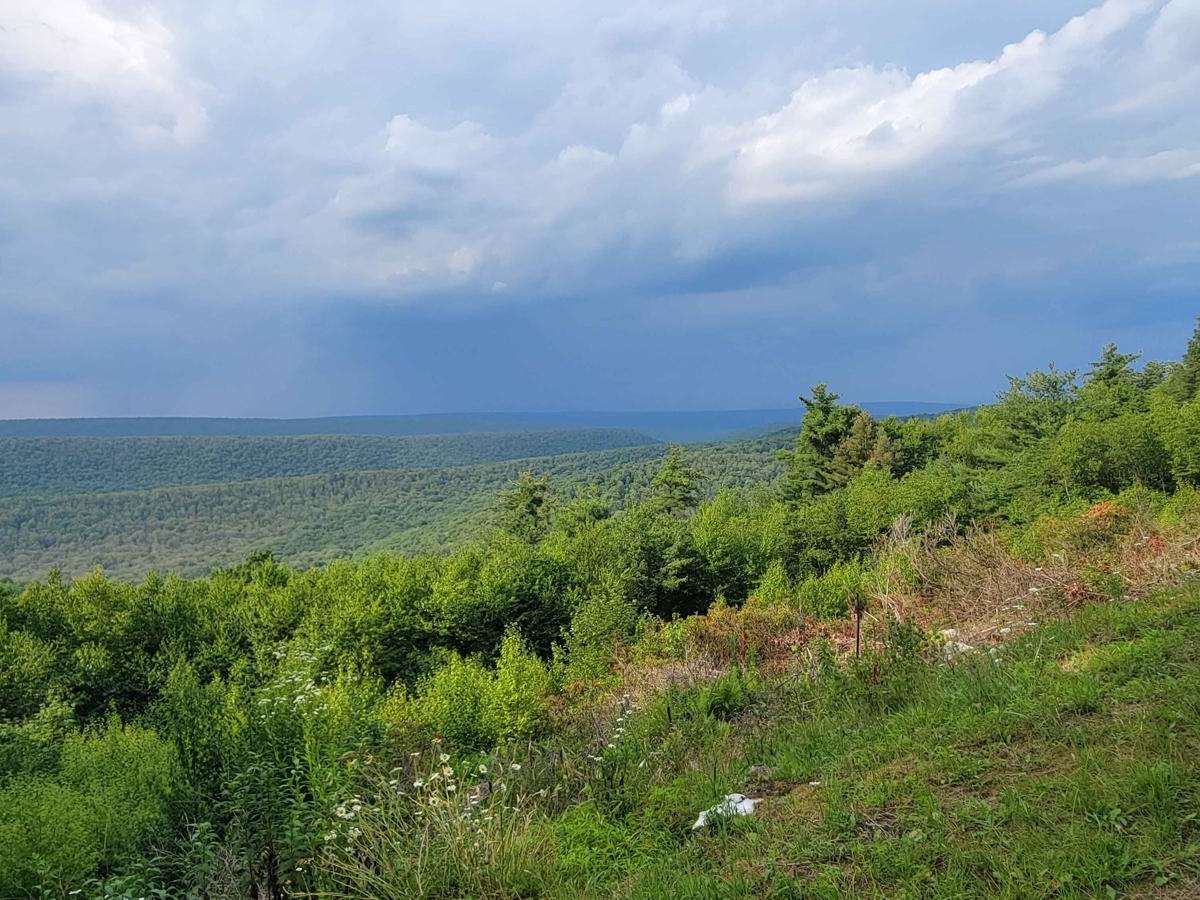 Red Ridge trail photo