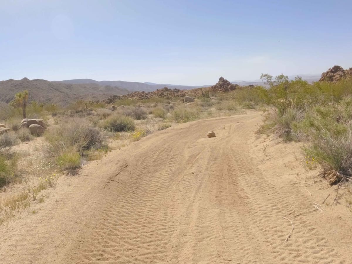 BLM C3429 photo 5