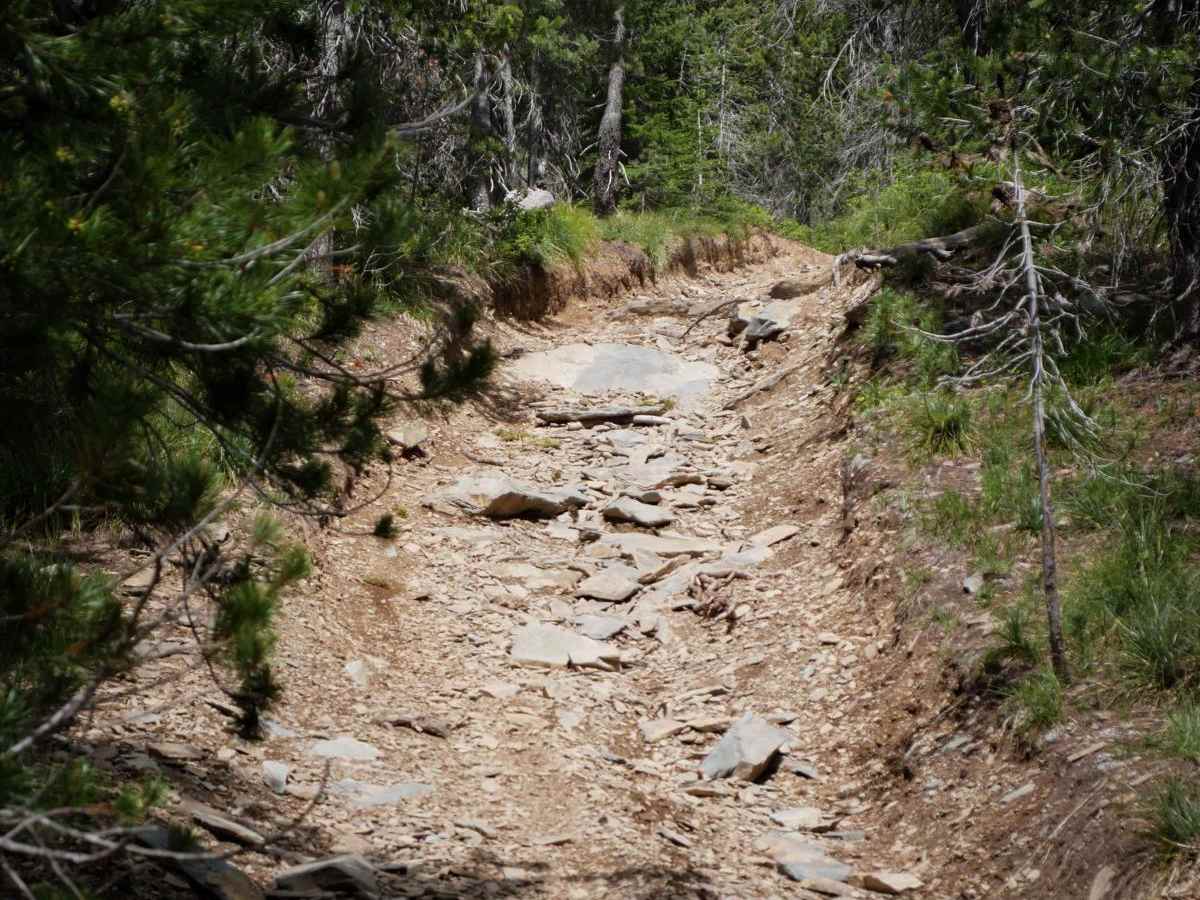 Slate Peak ATV photo 5