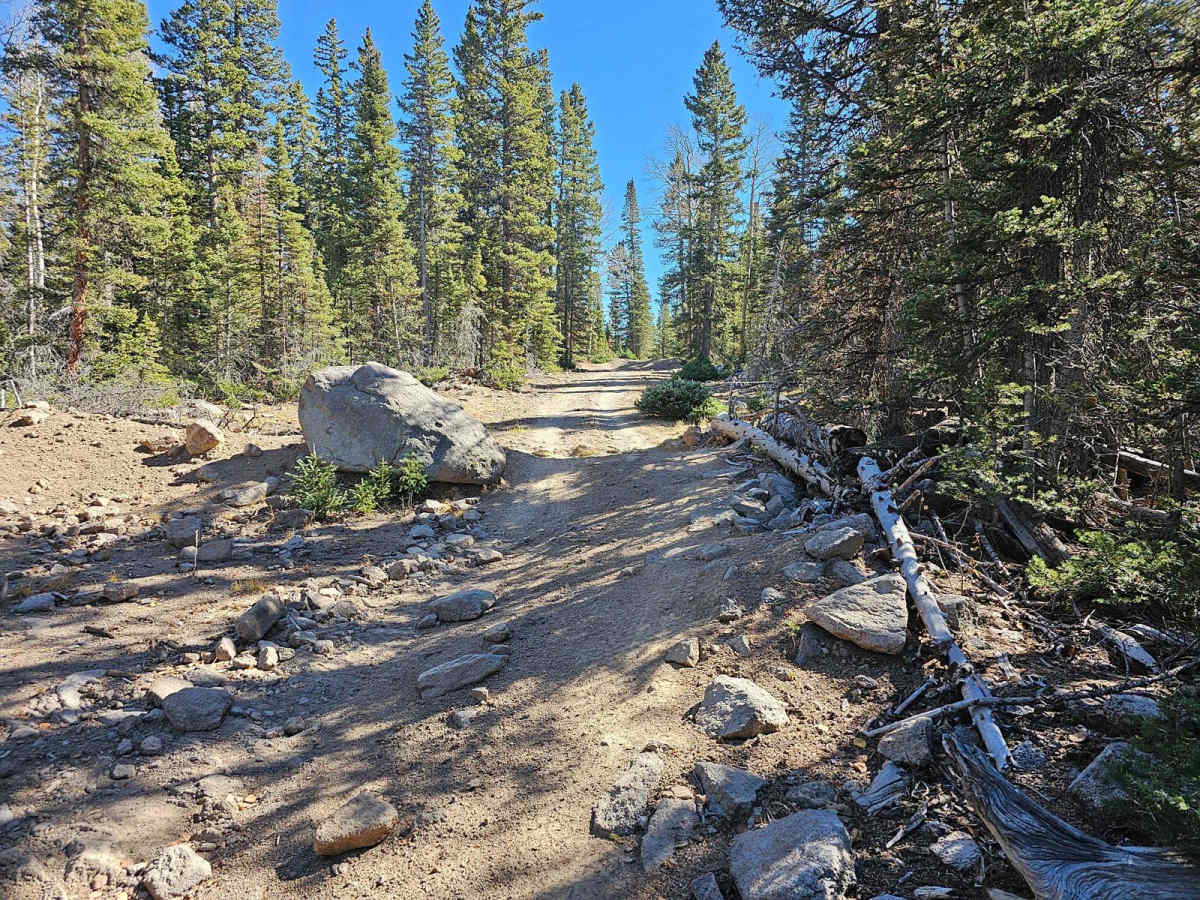 Velvet Lake Road photo 4