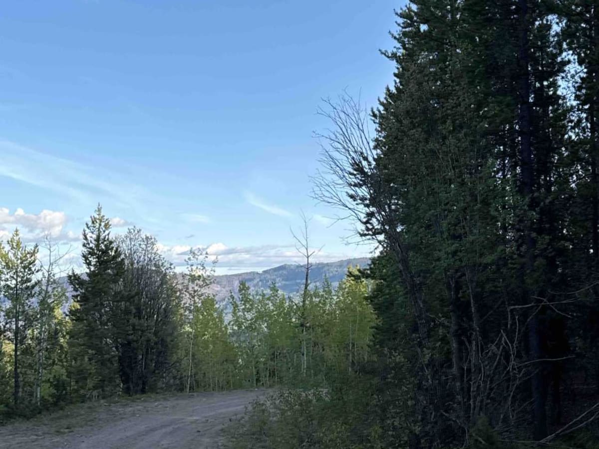 Lean To Forest Service Road trail photo