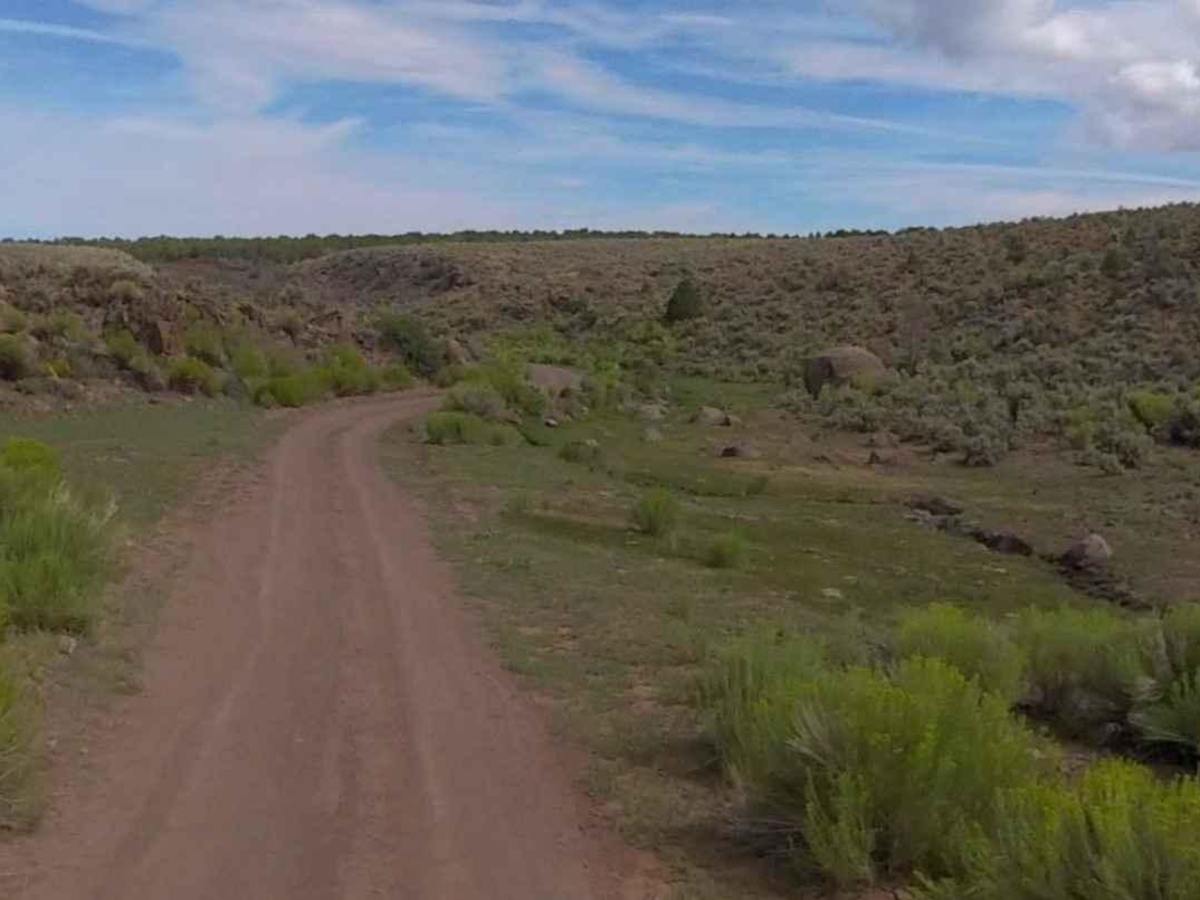 Little Lost Creek South- FS 40052 photo 6