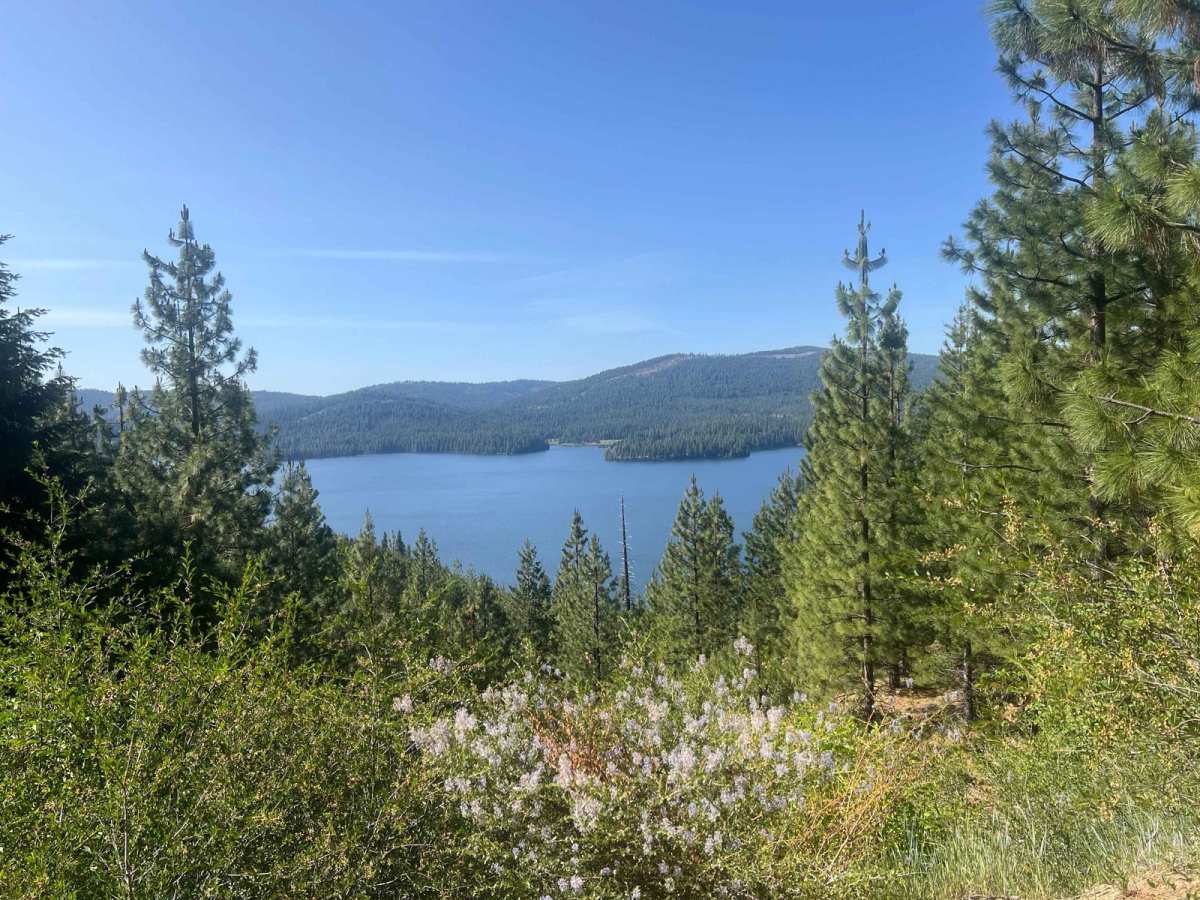 Big Hill Lookout trail photo