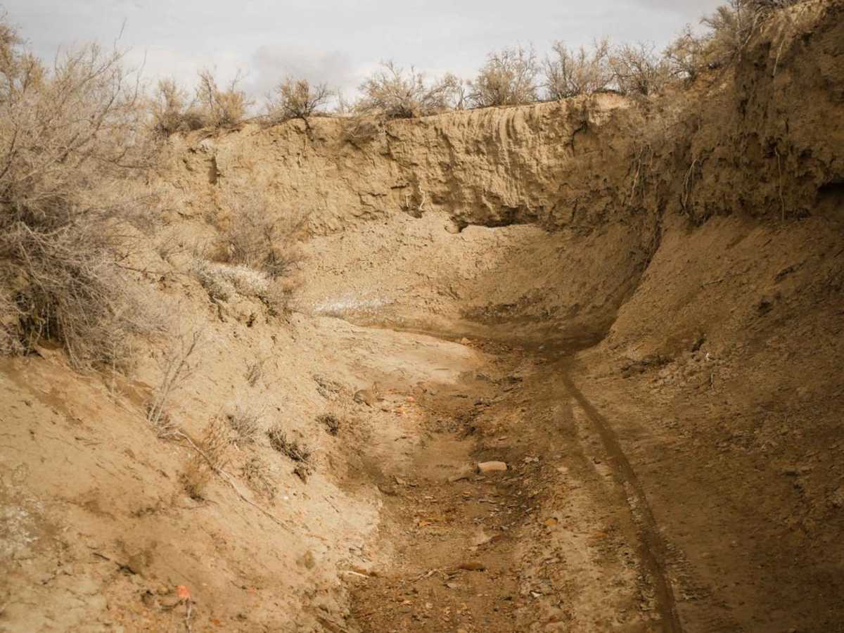 Trail 150 photo 5