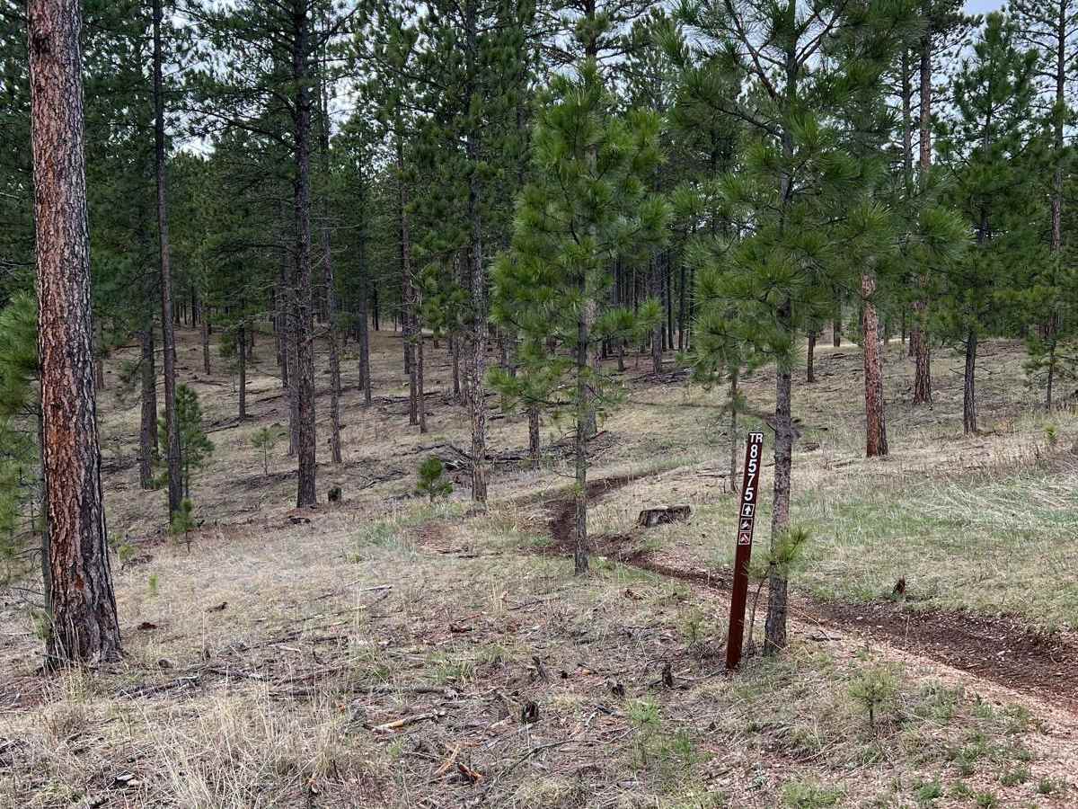 Dirt Bike Friendly Highway 385 trail photo