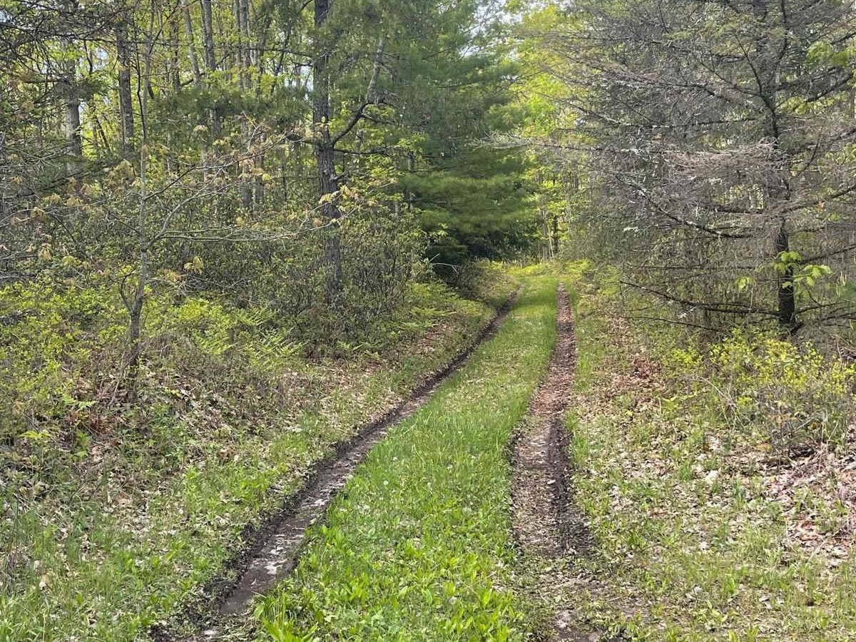 Twin Springs Trail photo 3