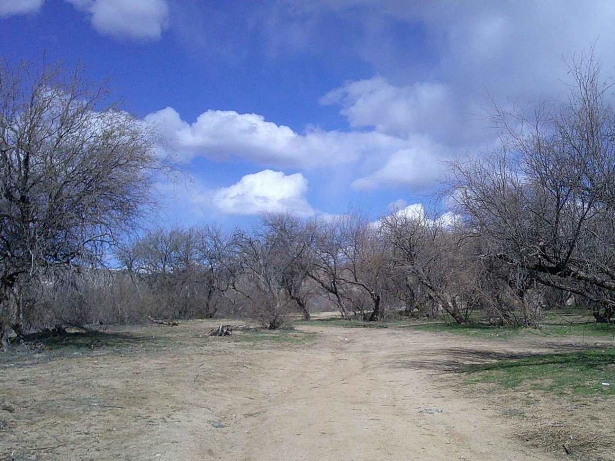 Camp Creek photo 5