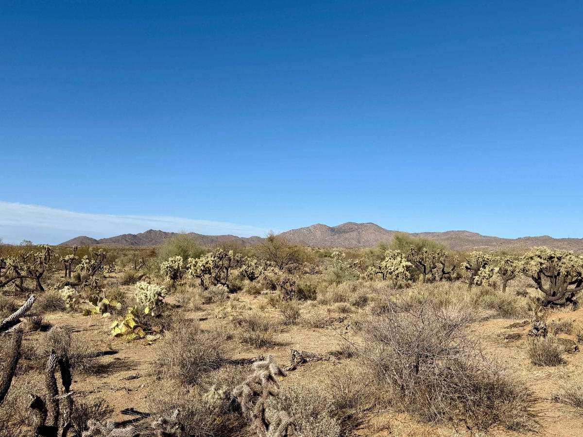 Western, East Willow Springs Road trail photo