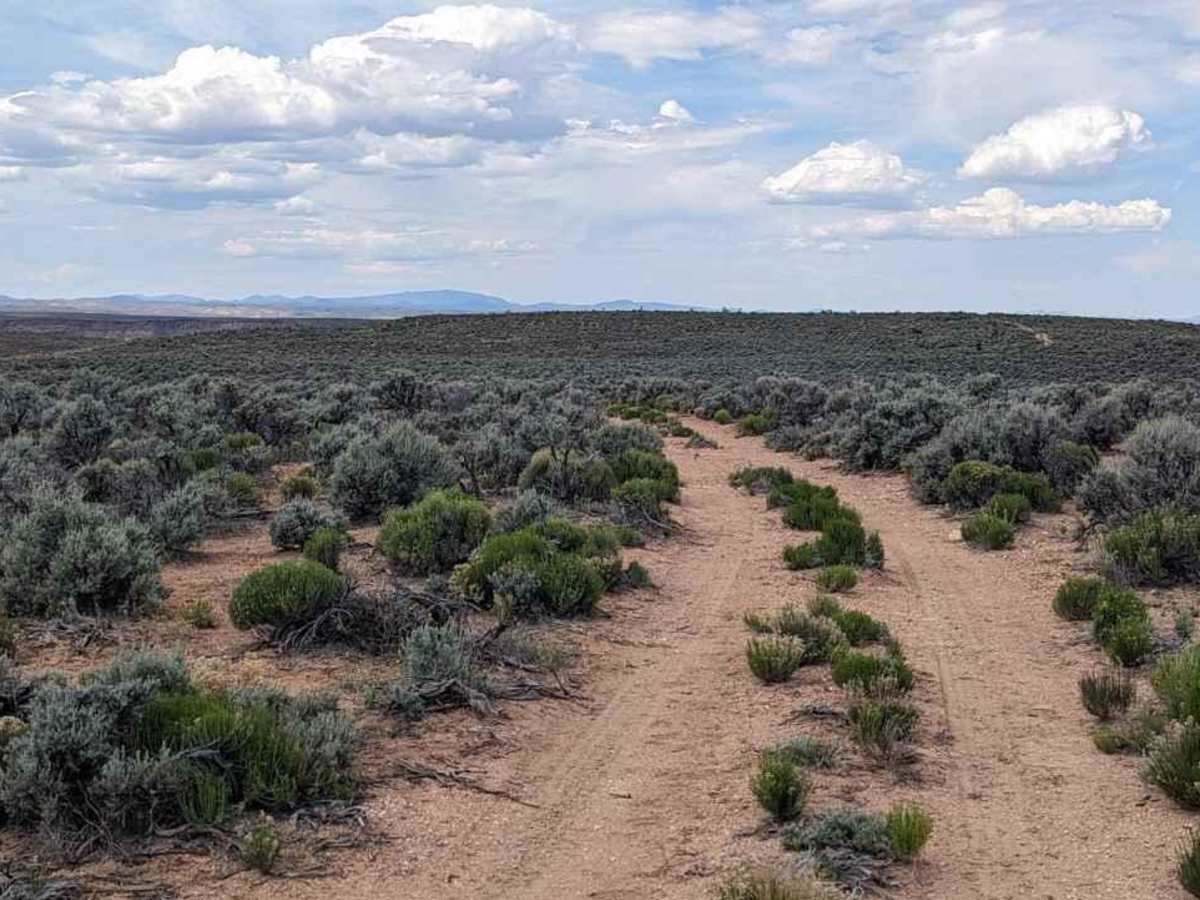 Gunsight Tank Trail - BLM183 photo 3