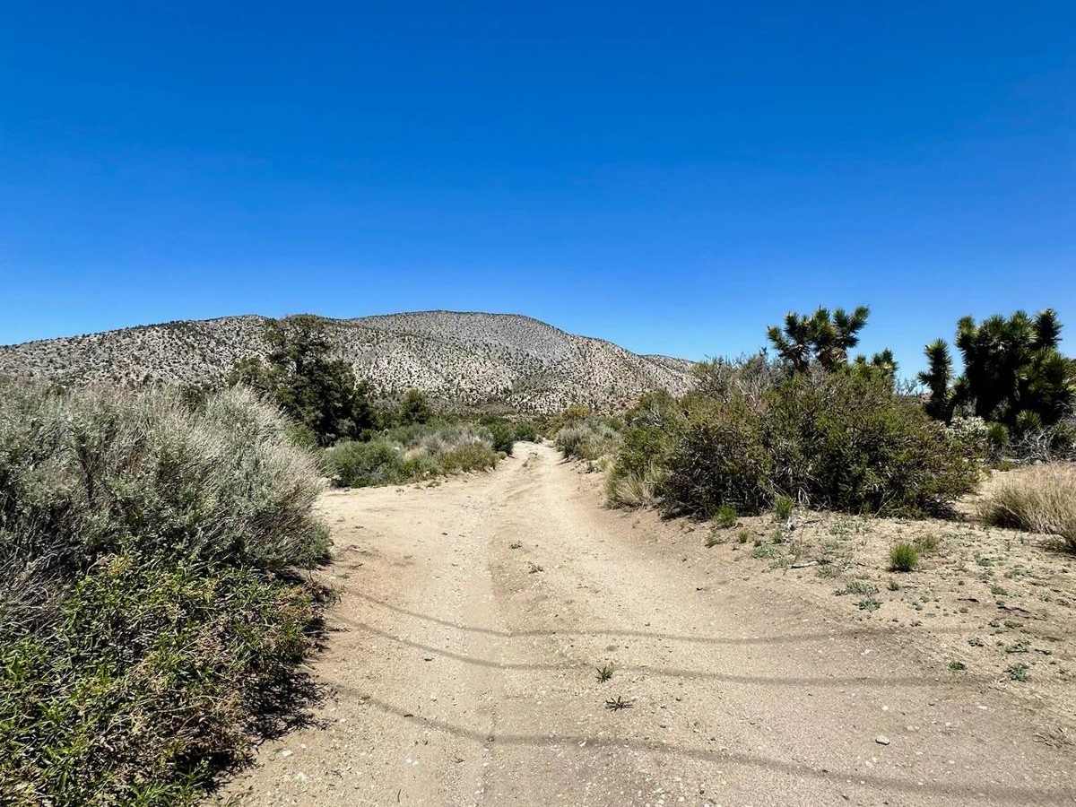 Cactus Flat - 3N62 photo 4