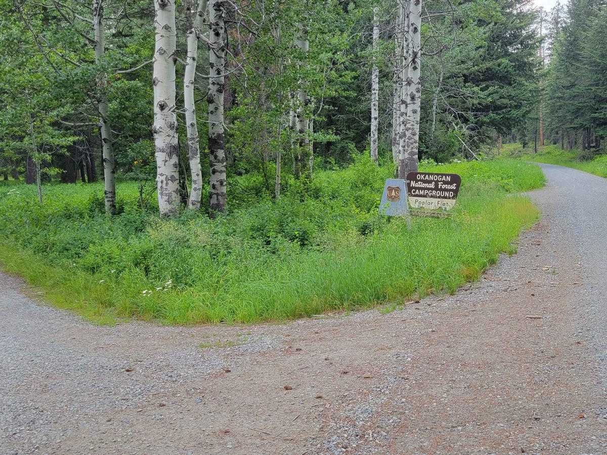 FR 4440 - Twisp River Road photo 5