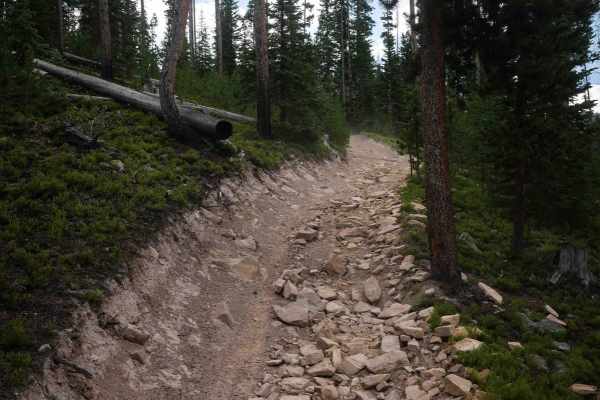 Illinois Ditch Trail 