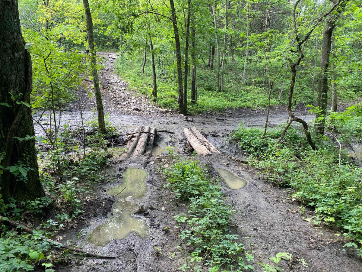 Bridge Trail photo 3