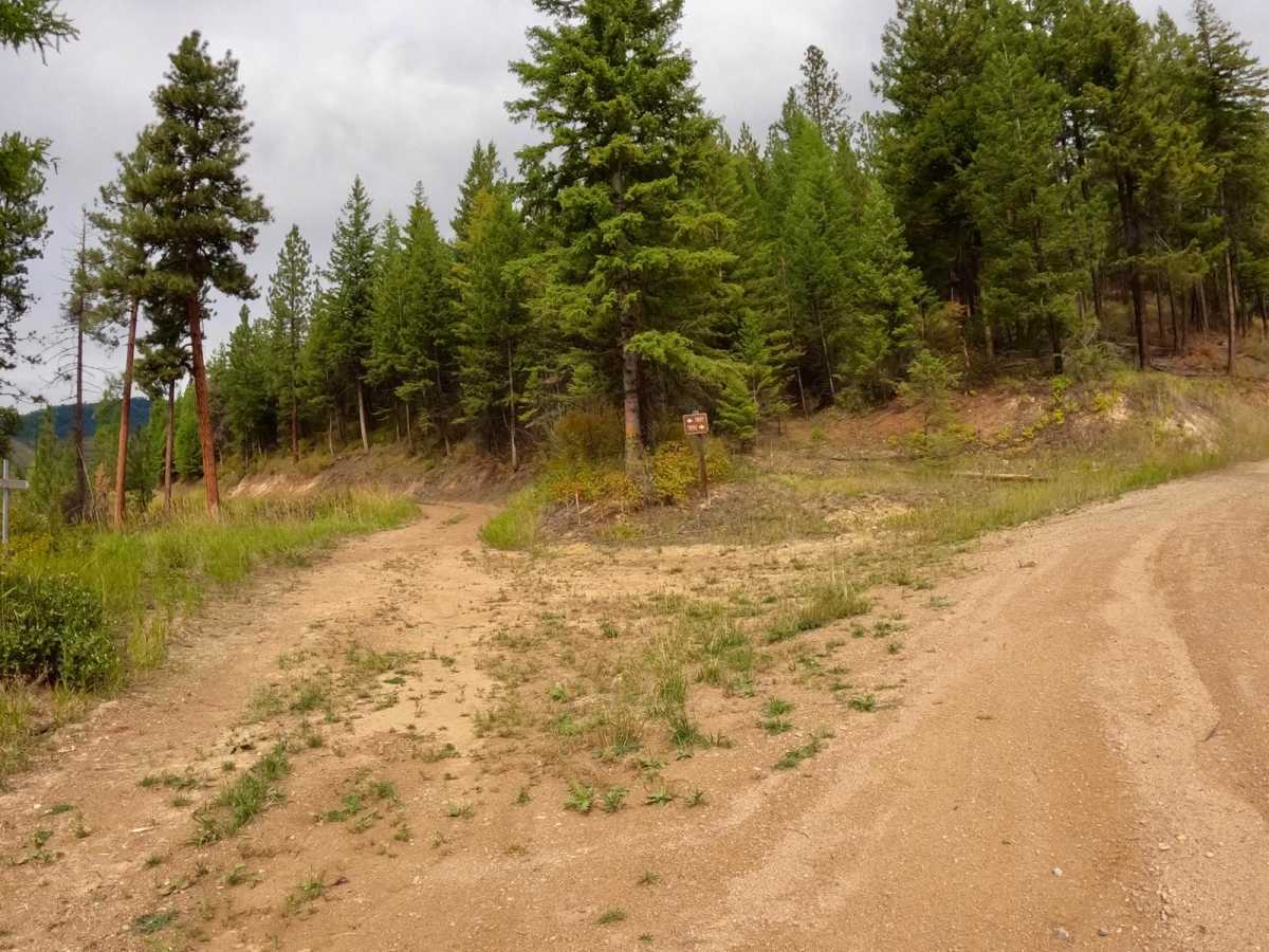 South Fork Second Creek Road-Nine Mile Divide Trailhead trail photo