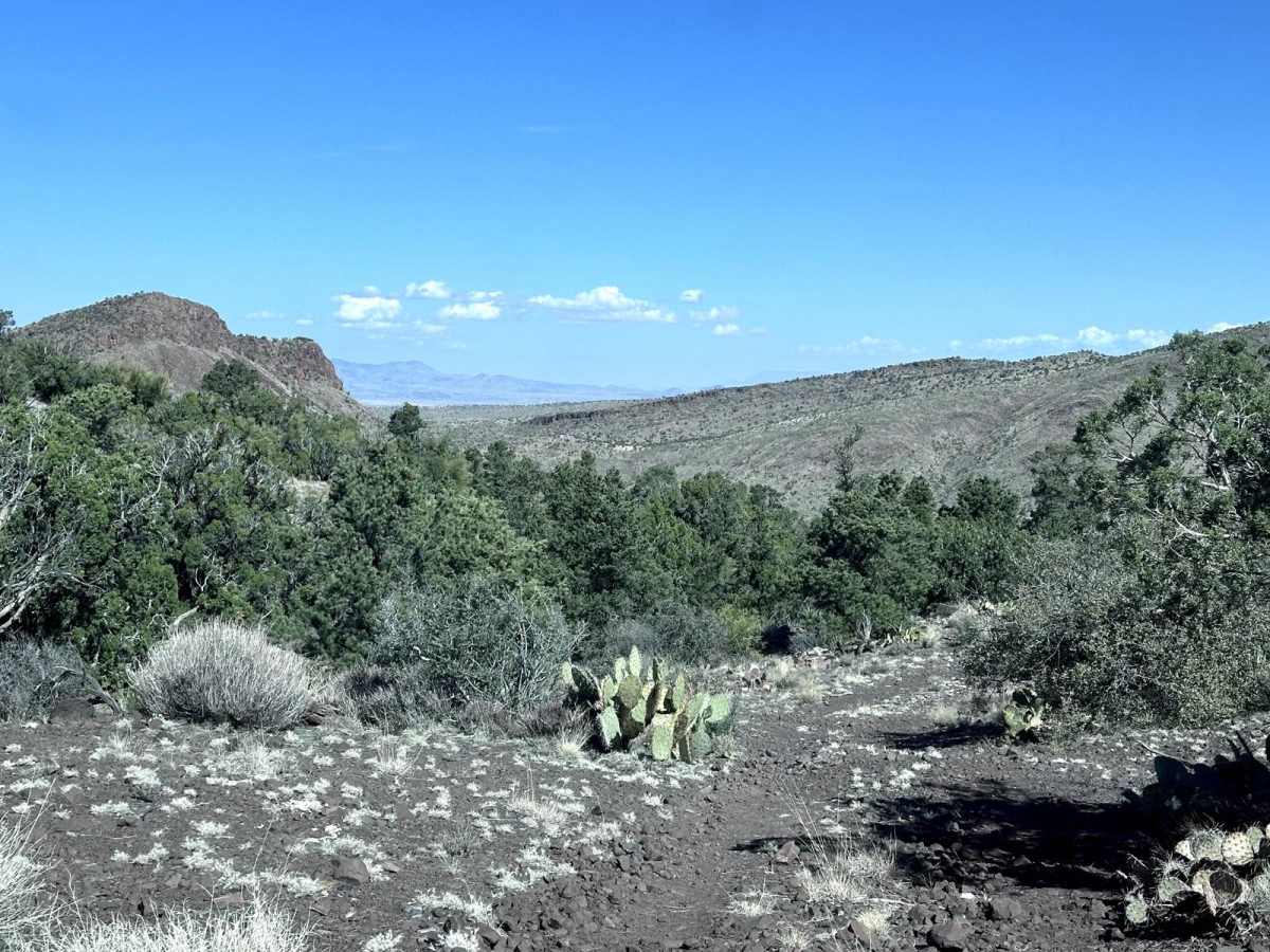 Yellow Flower Creek Loop photo 6