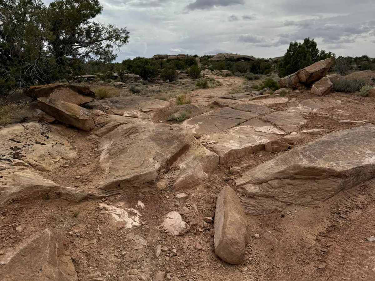 Juniper Trail trail photo