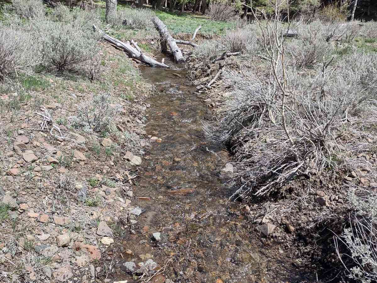 Chimney Gulch to Mammoth Canyon photo 6