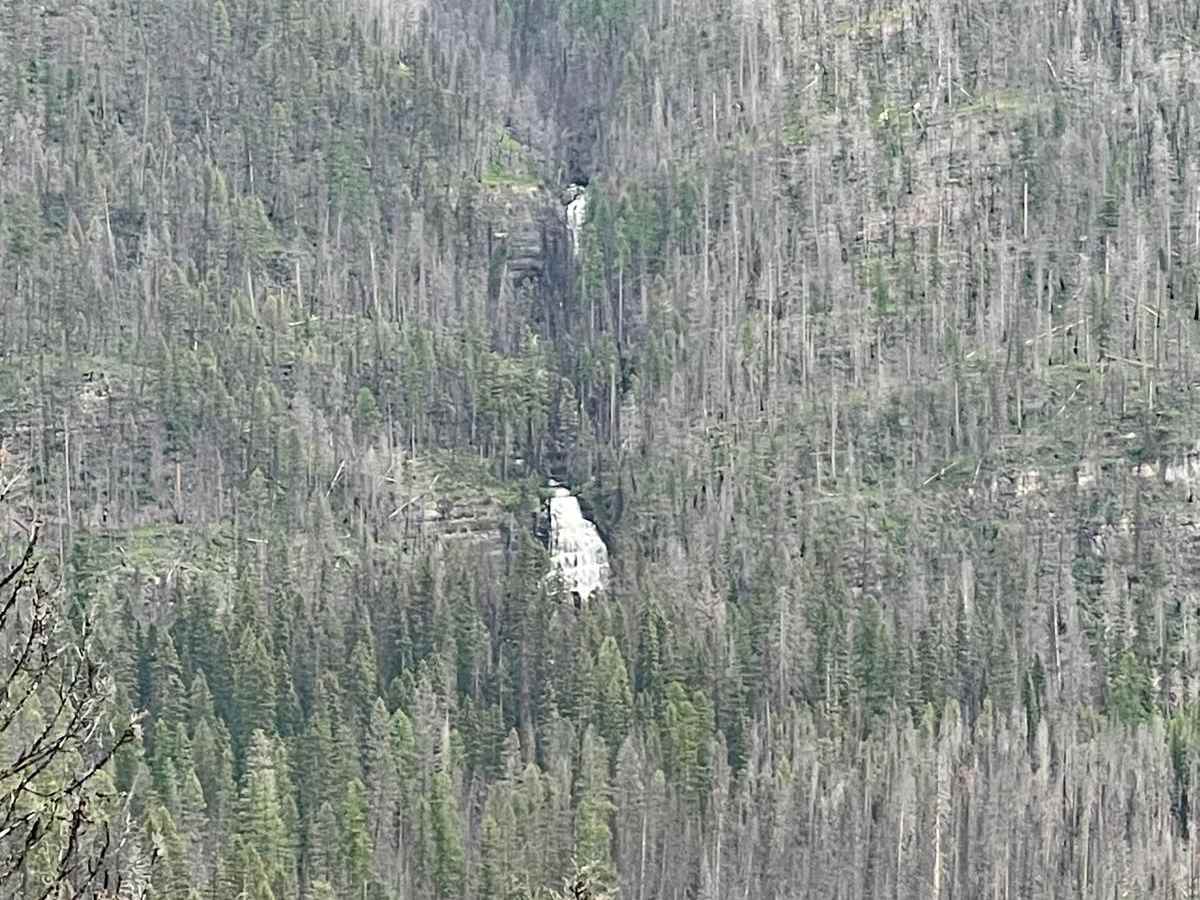 Finmore Cutover photo 2