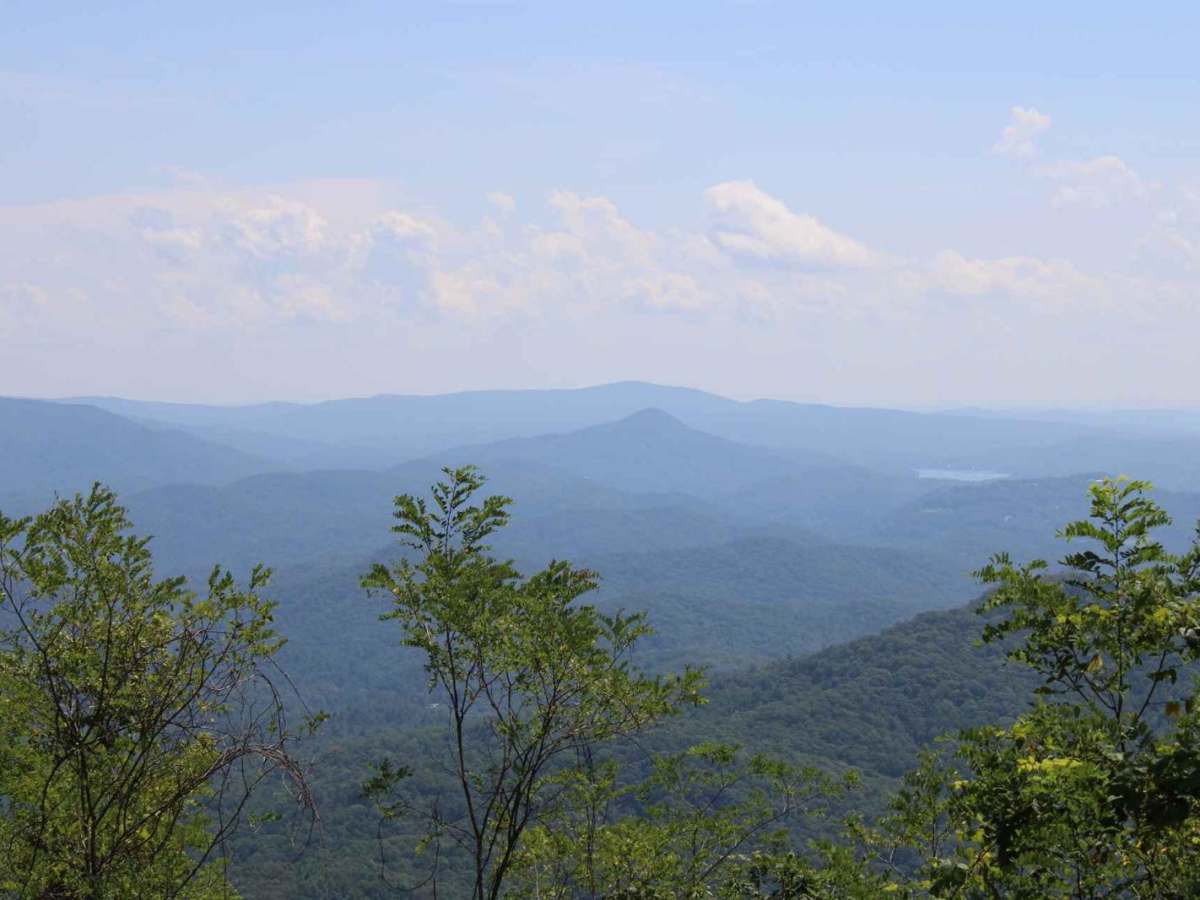 Steel Knob/Chestnut Mountain photo 2