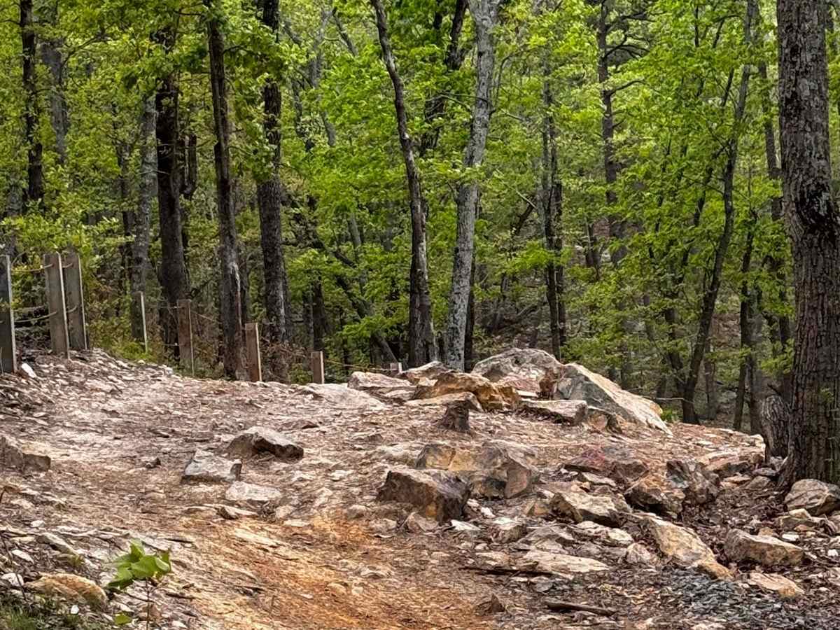 Lake View Trail 69 photo 5