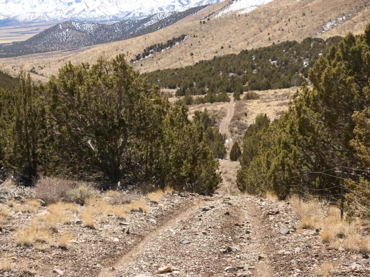 Little Mountain Loop photo 6