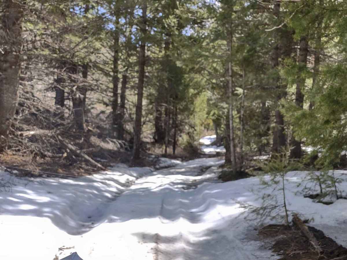 Arco Pass Road to Wood Canyon trail photo