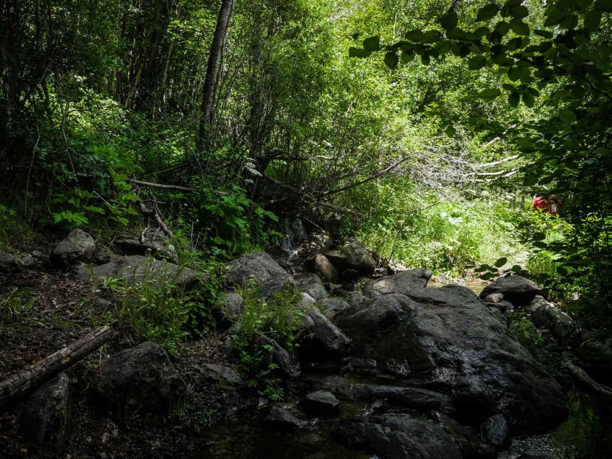 Fossil Ridge photo 4