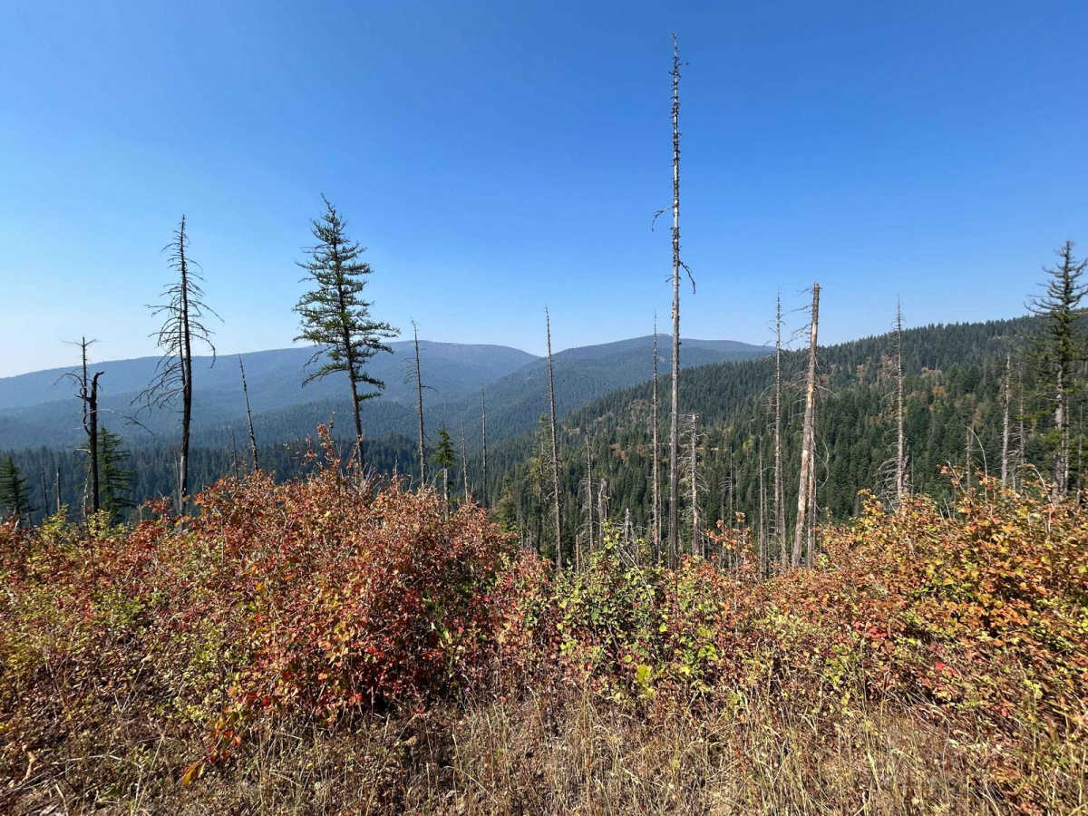 Solitaire Creek / Sob Creek 4WD photo 6