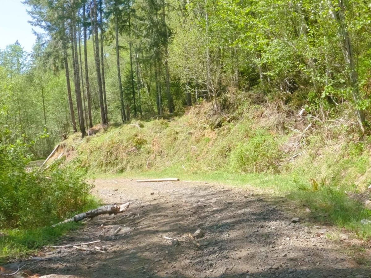 ZigZag Road - South photo 4