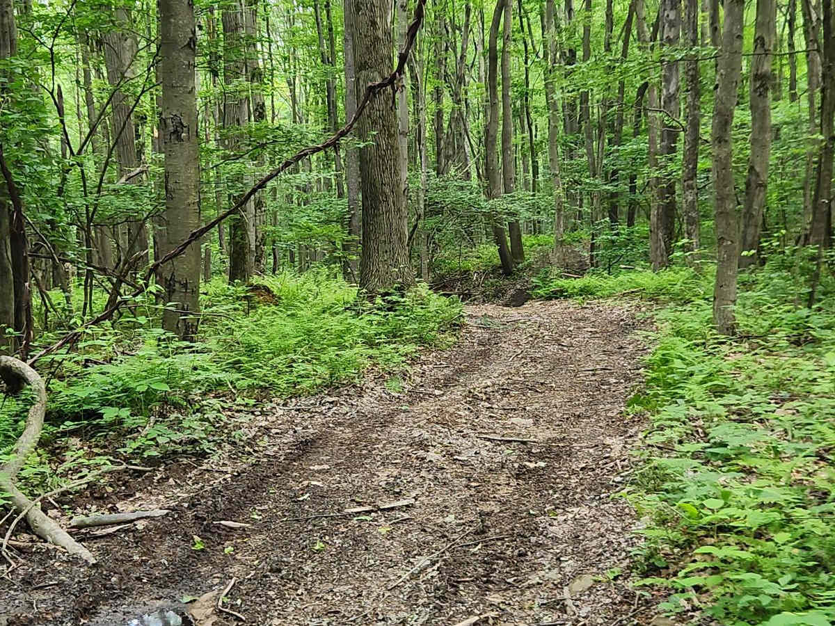 Trail 2A - Black - Rock Run Recreation Area photo 2