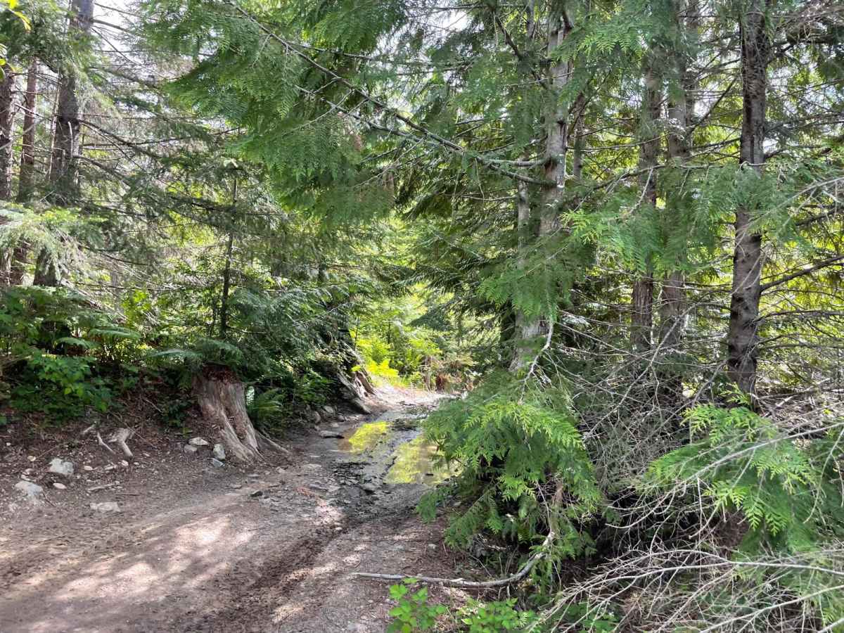 No Newbies and 4x4 Skills Area photo 6